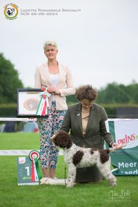 BEST Puppy Rozebottel s Barbalala (12) Van Gemert, Katrien